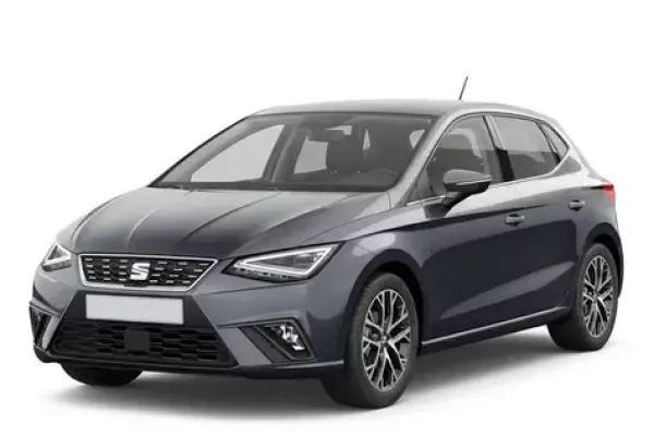 Seat Ibiza for rent in Camara de Lobos